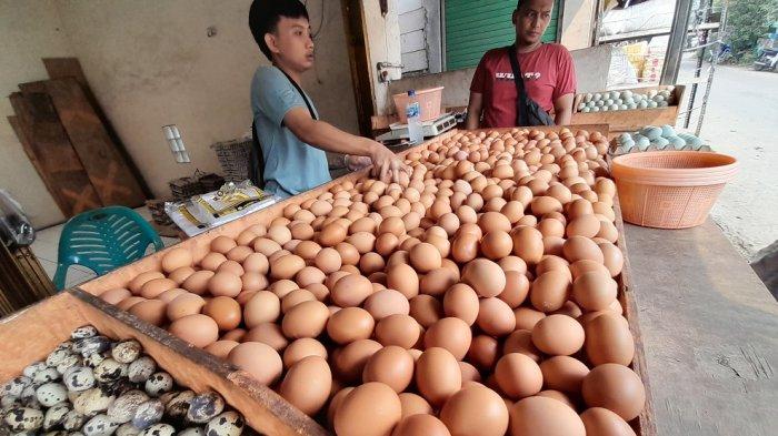 Waduh, Harga Telur Ayam Naik Jadi Rp 31 Ribu per Kilo, Pedagang di Pasar Citeureup Bogor Kebingungan