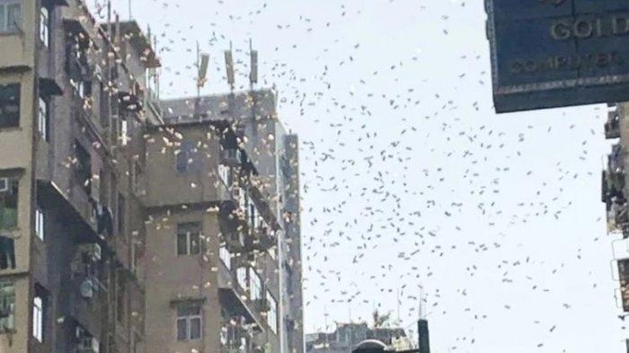 Warga Hong Kong Bahagia Adanya Hujan Uang, Pria Pembagi Uang Ini Justru Ditangkap Polisi