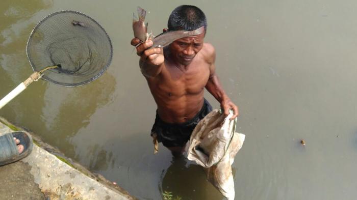 Ribuan Ikan Mati Mendadak di Situ Wanaherang Bogor, Polisi Ambil Sampel Air Untuk Diuji Lab