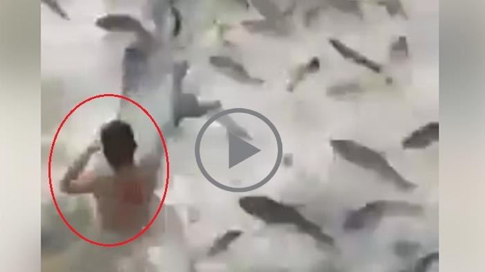 Mengejutkan ! Ribuan Ikan Serang Dua Pria Ini, Lihat Videonya