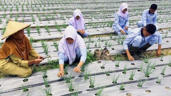 IPB University Gelar Summer Course Agribisnis Inklusif, Pesertanya 50 Mahasiswa dari 5 Negara