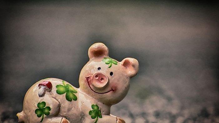 Tahun Baru Imlek 2019 - Begini Karakter Anak yang Lahir di Tahun Babi Tanah