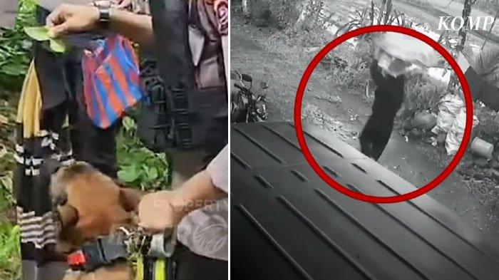 Penampakan 2 Barang Milik Terduga Pembunuh Gadis Penjual Gorengan, Siasat Pelaku Kabur Terbongkar