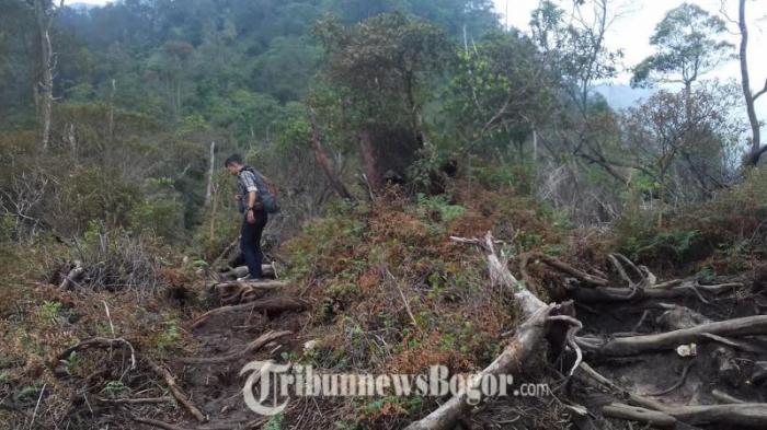 Menikmati Sejuknya Hawa Dingin Kawah Ratu, Siapkan Fisik dan Mendaki Pagi Hari