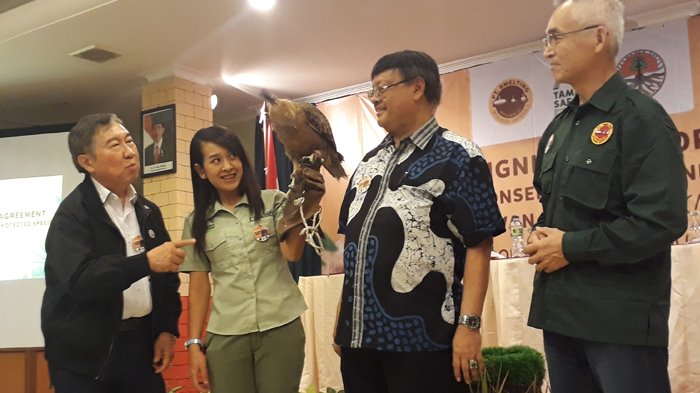 Taman Safari Dan Smelting Kerjasama Konservasi Elang Jawa, KKH Sindir Perusahaan Lain