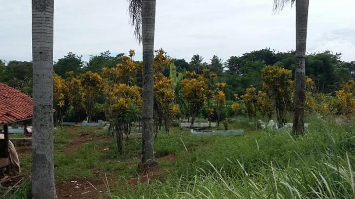 Ratusan Makam Ini Tak Bertuan, Siapa Keluarganya?