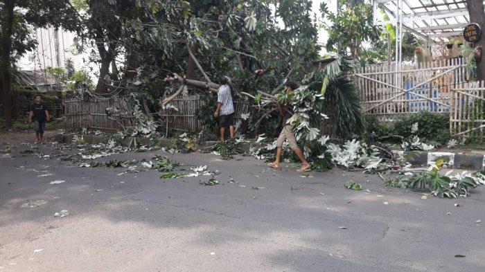 Mobil Plat B Tertimpa Pohon di Jalan Dadali Bogor