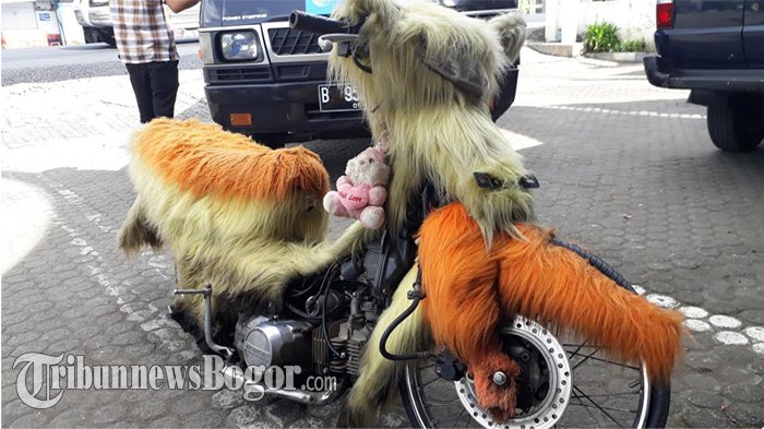 Unik, Pria Ini Sulap Sepeda Motornya Jadi mirip 'Anggora', Polisi Sampai Kebingungan