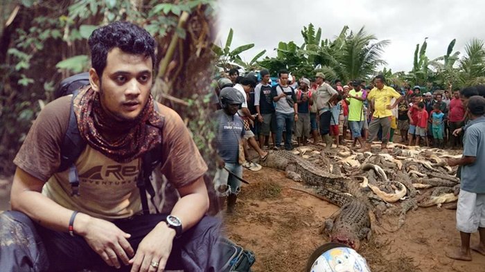 292 Ekor Buaya di Sorong Dibantai Warga, Panji Petualang: Andai Hukum Kita Seperti Negara Tetangga