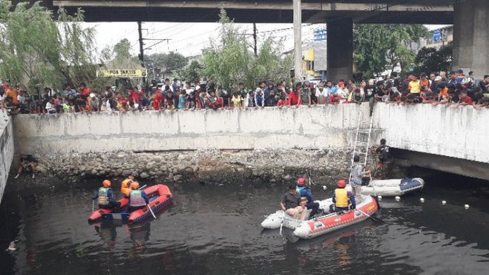 Petugas Sebut Ada 3 Ekor Buaya di Kali Grogol, Panjangnya Ada yang Sampai 2,5 meter