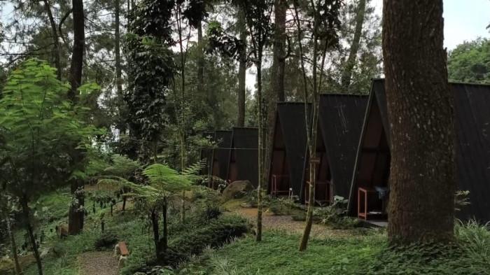 WISATA BOGOR - Tidak hanya tempat kopi, wisata Curug Kembar ini juga menyediakan tempat penginapan yakni dikenal dengan sapaan staycation. Untuk pengunjung yang ingin berlibur setelah berendam di air terjun, bisa langsung mengunjungi tempat ini.