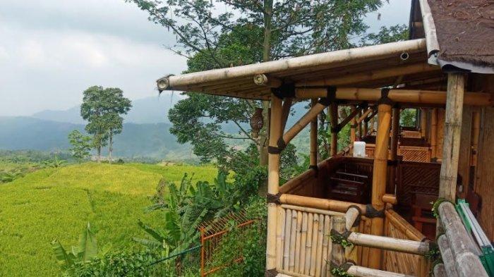 5 Tempat Wisata di Bogor yang Ada Penginapannya, Bernuansa Alam dan Sejuk