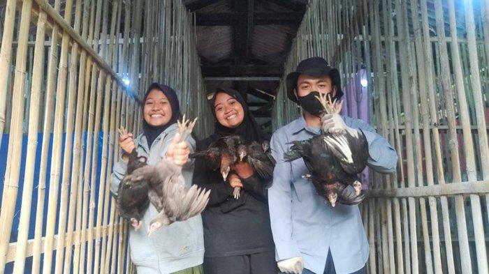 Produktif di Bulan Ramadhan, Mahasiswa Polbangtan Bogor Raup Untung dari Budidaya Ayam Kampung