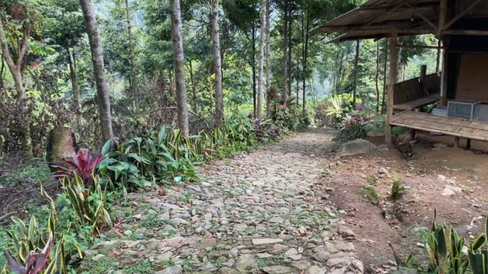 WISATA BOGOR - Jalan setapak berbatu yang dikelilingi rimbunnya hutan ini adalah awal dari petualangan menuju Curug Pasir Reungit Bogor.