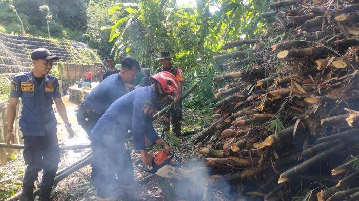 2 Jam Evakuasi Pohon Tumbang, Damkar Bikin Warga Ciawi Bogor Senang, Akses Jalan Tak Lagi Lumpuh