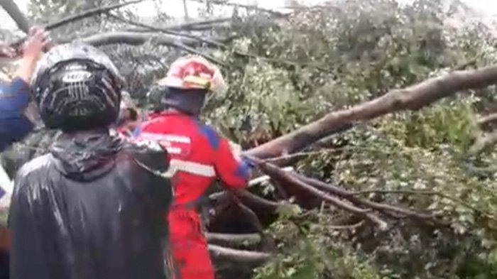 BREAKING NEWS - Hujan Disertai Angin Kencang di Kota Bogor, Pohon Tumbang hingga Reklame Roboh