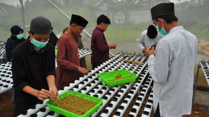 Tak Hanya Ilmu Agama, Dua Pesantren di Kota Bogor Ini Berikan Materi Tambahan Bercocok Tanam