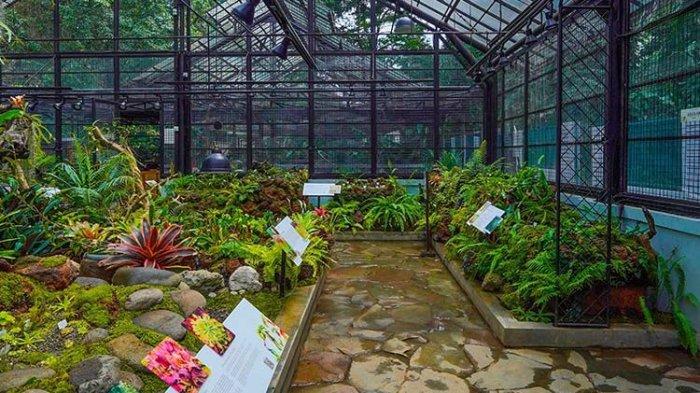 10 Tempat Wisata Menarik Dekat Stasiun Bogor, Ada Spot Foto Unik Kerangka Ikan Paus Raksasa