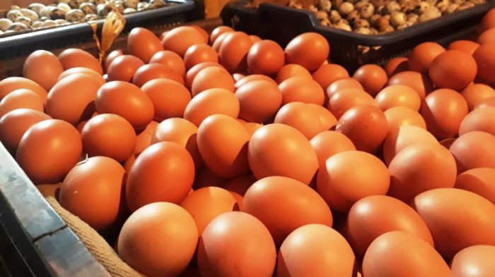 Harga Telur Sedang Mahal, Yuk Coba Protein Pengganti yang Bermanfaat Untuk Kesehatan