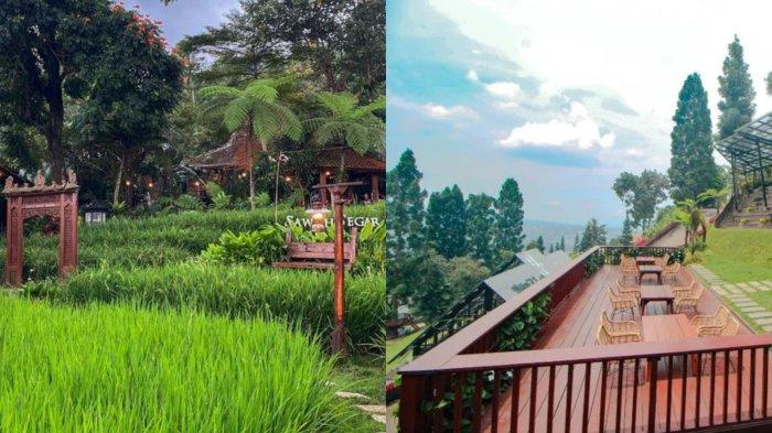 Tahun Baru Sambil Liburan dan Kulineran, Ini 5 Tempat Wisata di Bogor yang Bisa Dikunjungi