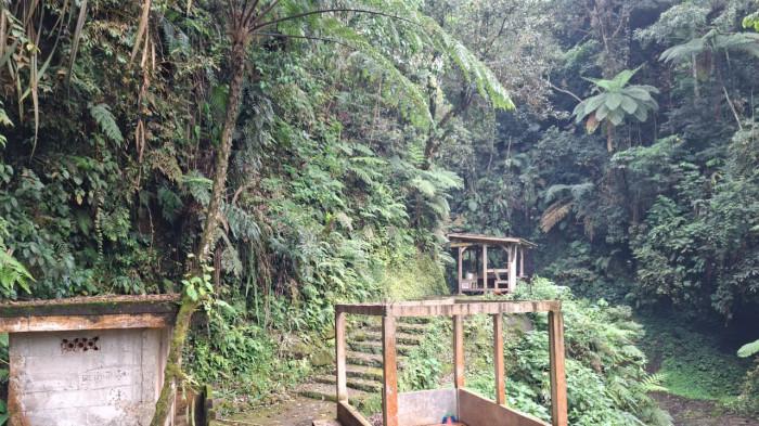 WISATA BOGOR - Jalur trekking Curug Goa Lumut di Pamijahan, Kabupaten Bogor. Langkah kecil menuju tempat yang membuat napas terasa lebih lega.