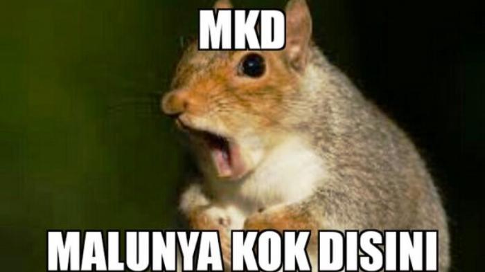 Mau Tahu Singkatan MKD Karya Netizen Se-Indonesia, Baca di Sini Kocak Abis