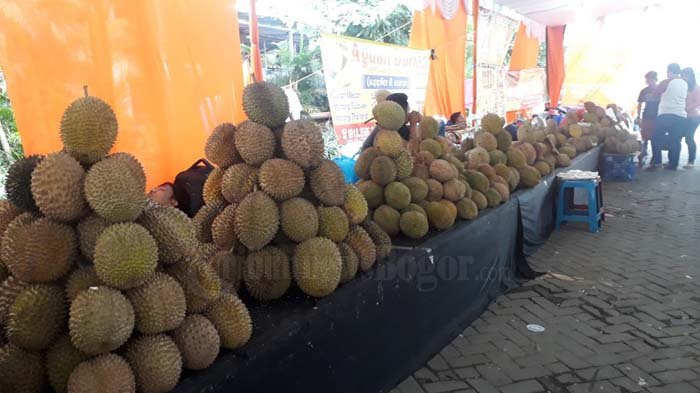 Makan Durian Sepuasnya Di Wisata Durian Botani Square, Dijamin Klenger