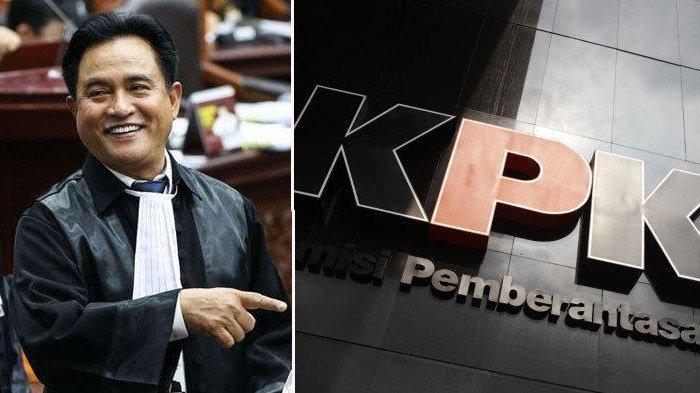 Disebut Jadi Calon Dewan Pengawas KPK, Yusril Ihza Mahendra: Saya Tidak Berminat dan Tak Bersedia
