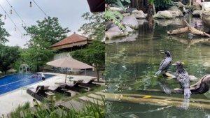 5-Rekomendasi-Tempat-Wisata-di-Cibinong-Bogor-yang-Viral.jpg