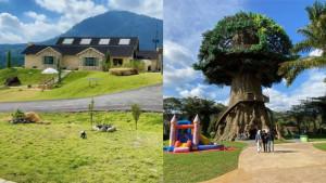 5-Tempat-Wisata-Bogor-yang-Viral-di-TikTok.jpg