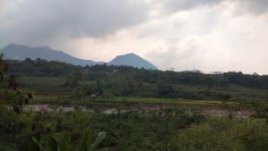 Area-persawahan-di-wilayah-Desa-Sukamulya-Kecamatan-Sukamakmur-Kabupaten-Bogor-Senin.jpg
