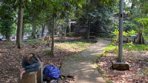Hutan-Kota-Bogor-yang-berlokasi-di-Jalan-Ahmad-Yani-Kecamatan-Tanah-Sareal-tidak-terurus.jpg