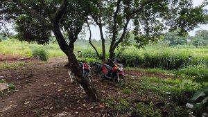 Lokasi-judi-sabung-ayam-di-wilayah-Desa-Cikeas-Kecamatan-Gunungputri.jpg