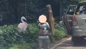 bogor/Pengunjung-Taman-Safari-Indonesia-TSI-Bogor-turun-dari-kendaraanya-di-are.jpg