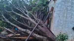 Pohon-tumbang-timpa-rumah-warga-di-wilayah-Desa-Cinangka-Bogor.jpg