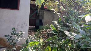 Pria-Tanpa-Identitas-Diduga-Gantung-Diri-di-Kebun-Kosong-Cibuluh-Bogor.jpg