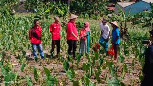 Reses-Bersama-Petani-di-Mulyaharja.jpg