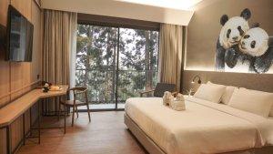 Royal-Safari-Garden-Resort-Convention.jpg