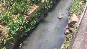 Saluran-air-yang-diduga-tercemar-karena-limbah-pabrik-di-kawasan-ruko-Putri-Indah-Estate-PIE.jpg