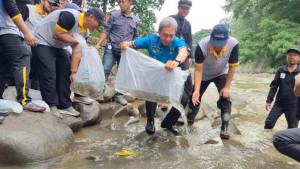 bibit-ikan-ditebar-di-sungai-ciliwung.jpg
