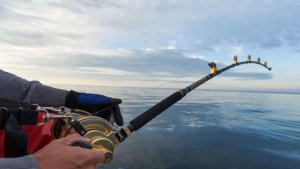 mancing_20180226_175202.jpg