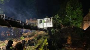 pohon-tumbang-new-malam-ini.jpg