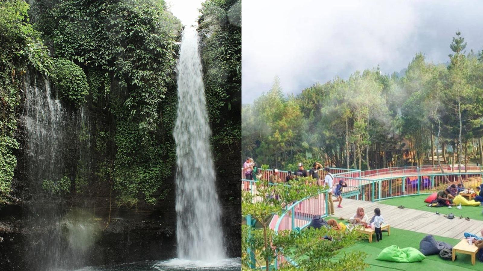 5 Tempat Wisata di Bogor yang Mudah Dijangkau Mobil: HTM Ada yang Gratis, Bikin Weekend Makin Seru