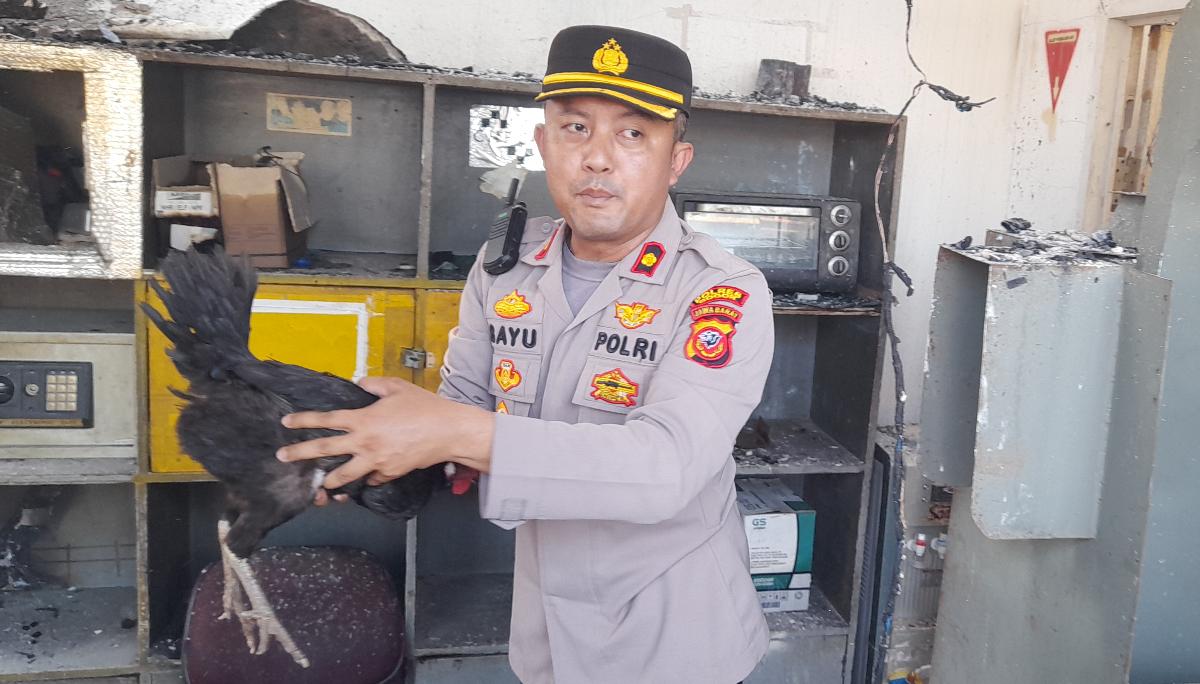 Ayam-selamat-dari-kebakaran-pabrik-di-kawasan-Gunungputri.jpg