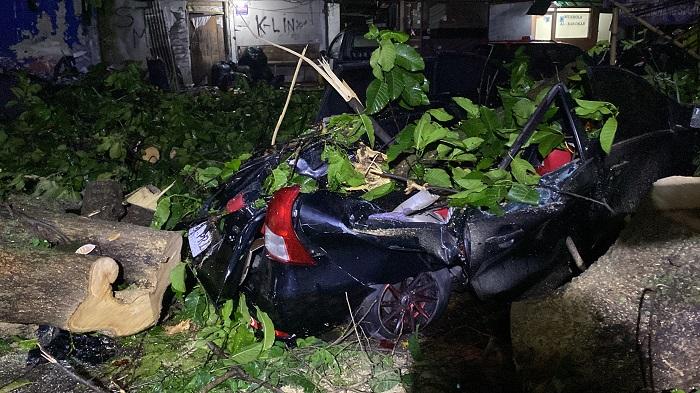 bogor/Batang-pohon-Jabon-besar-yang-timpa-mobil-Avanza-h.jpg