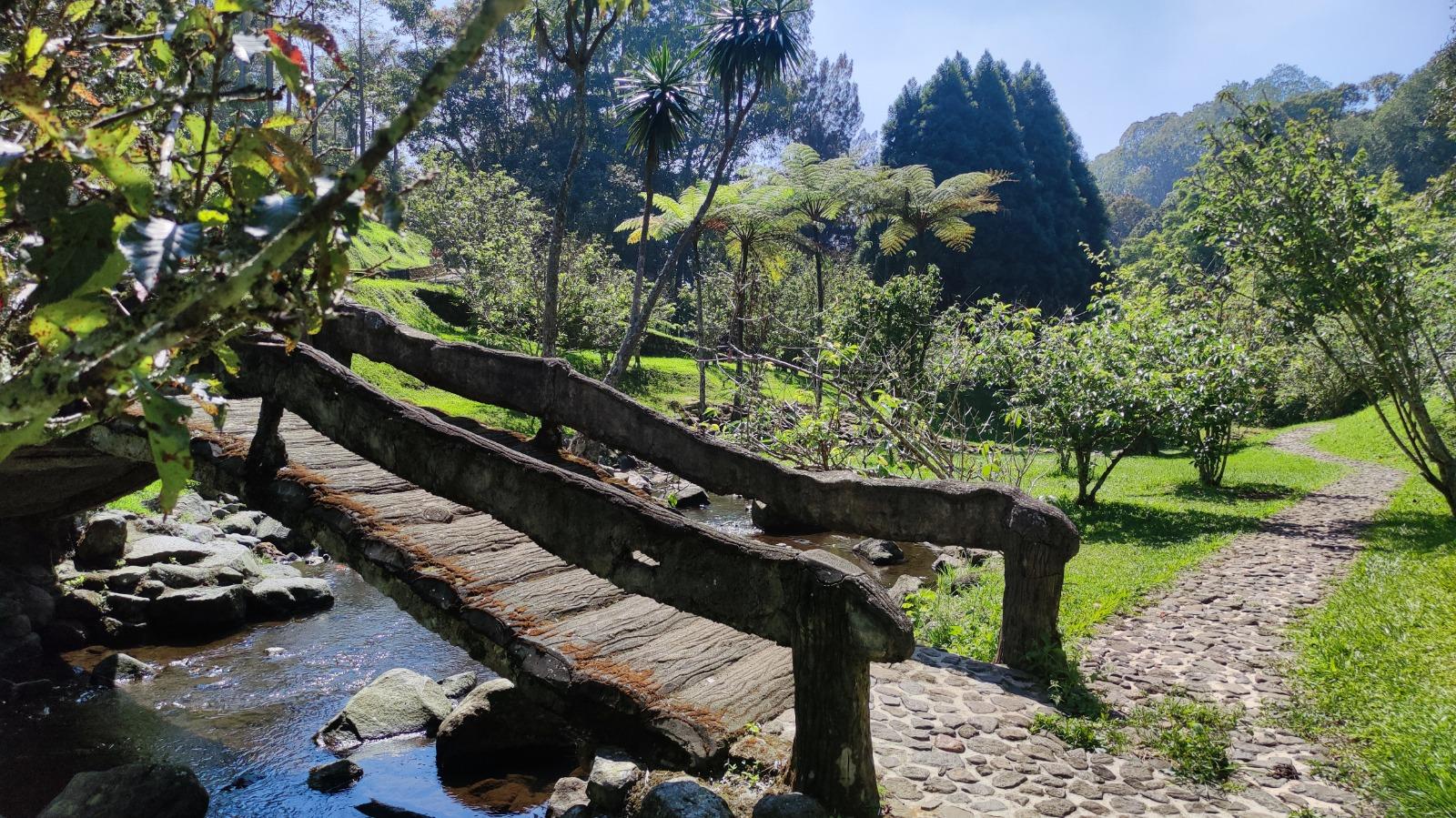 Kebun-Raya-Cibodas-jembatan.jpg