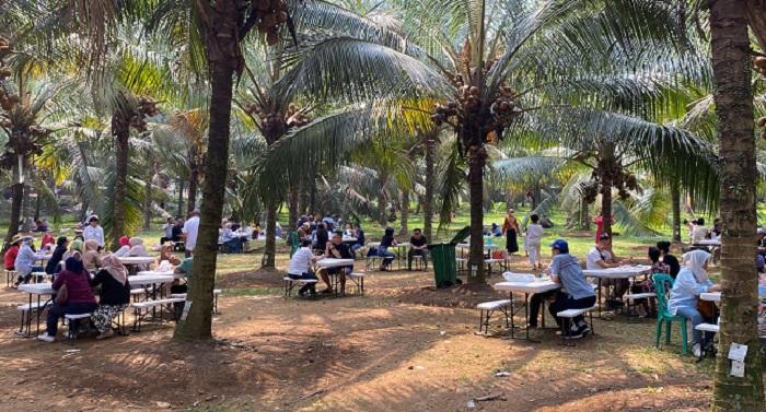 Menilik Kios Kelapa Kopyor di Kota Bogor, Bisa Nikmati Kesegarannya Sambil  Bersantai - Tribunnewsbogor.com