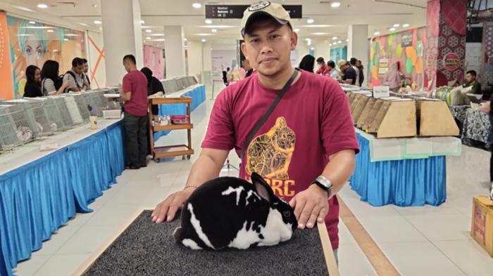 Mengenal Kelinci Kontes Jenis Rex di INDRC Show 2025, Tekstur Bulunya Seperti Karpet