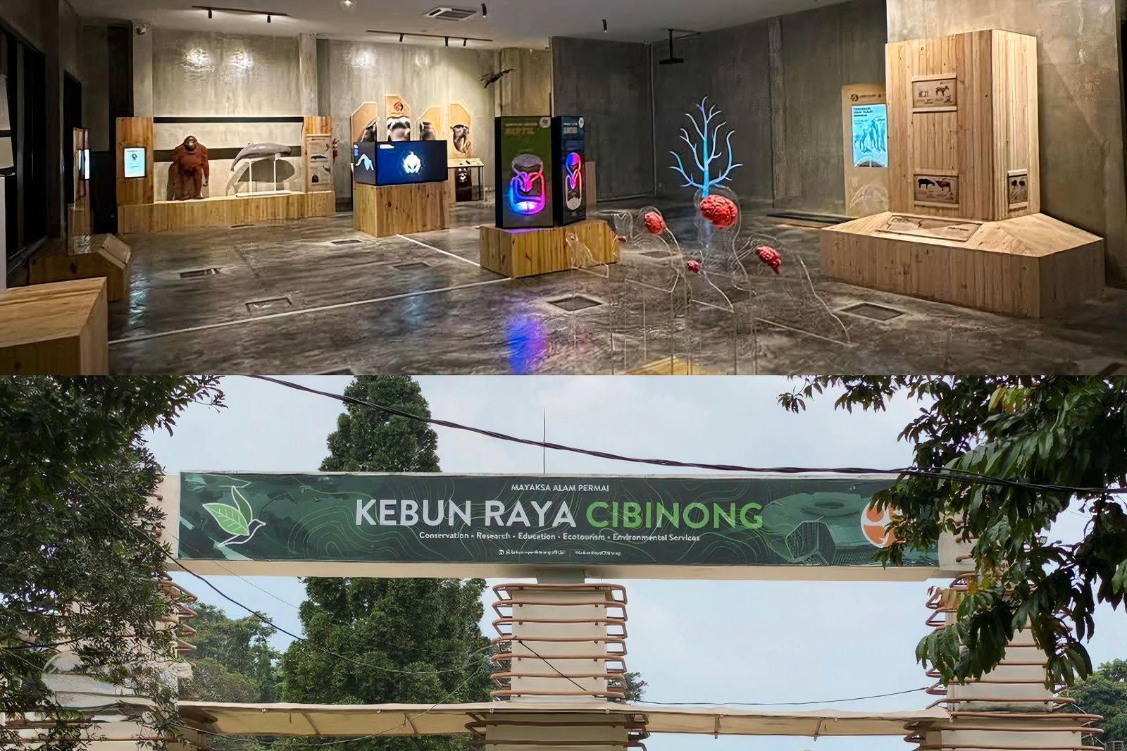 Tempat-wisata-di-cibinong-bogor.jpg