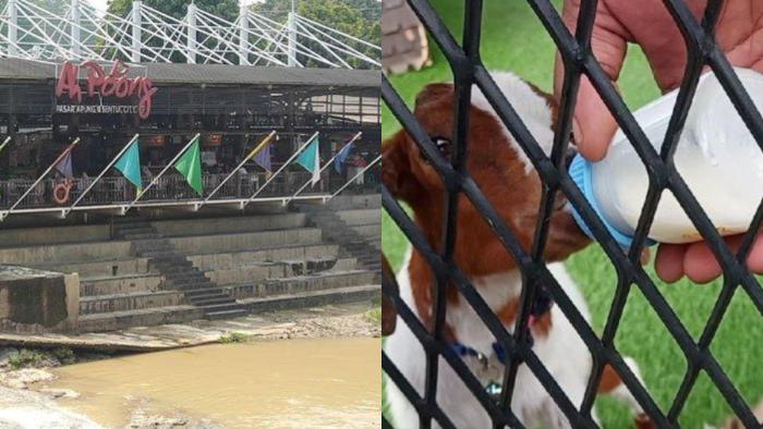 Rekomendasi 6 Tempat Wisata di Bogor dan Tempat Kuliner Hits, Berkuda hingga Makan di Pinggir Sungai